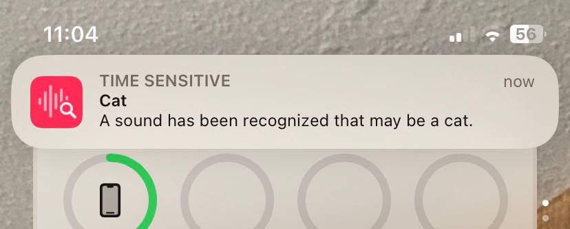 A Sound Recognition notification from iOS: "Cat - A sound has been recognized that may be a cat."