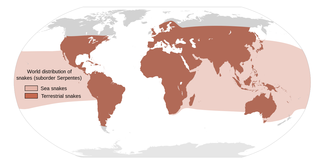 Snakes live basically everywhere thats not cold, except in the atlantic ocean