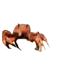 crab_dance