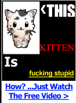 arrow pointing to maia kitten with text saying "this kitten is fucking stupid, how? just watch the free video"