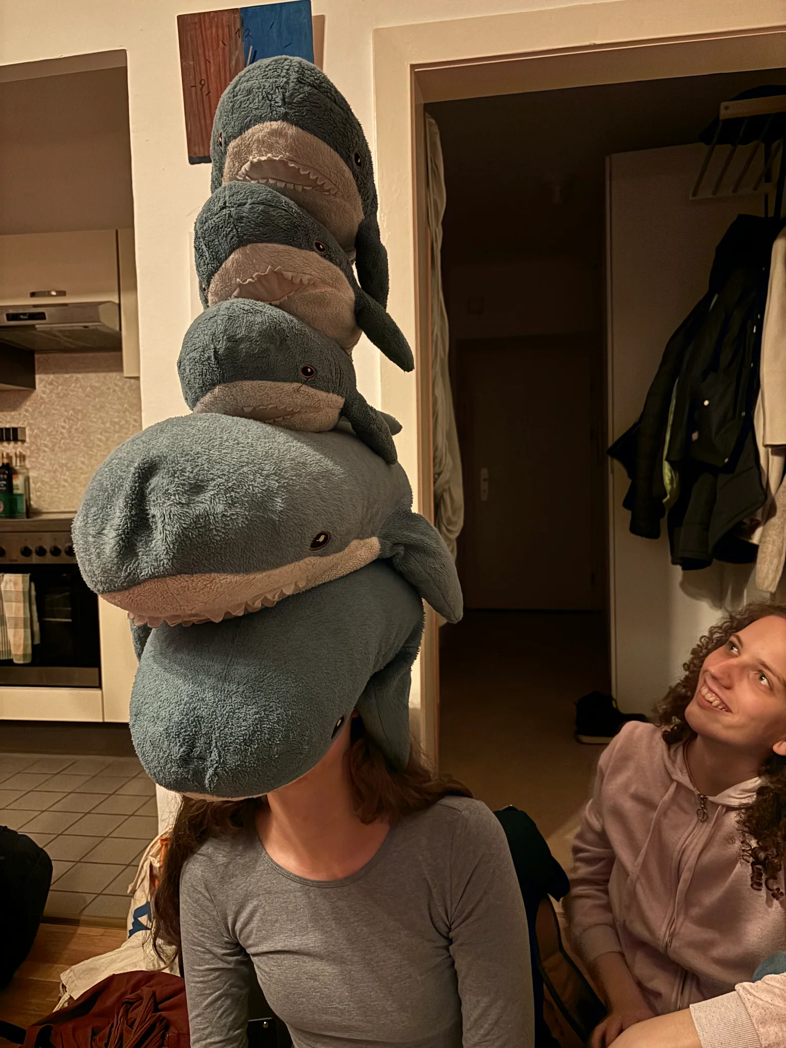 2 blahaj and 3 smolhaj stacked on zoe’s head. kiara is watching in awe