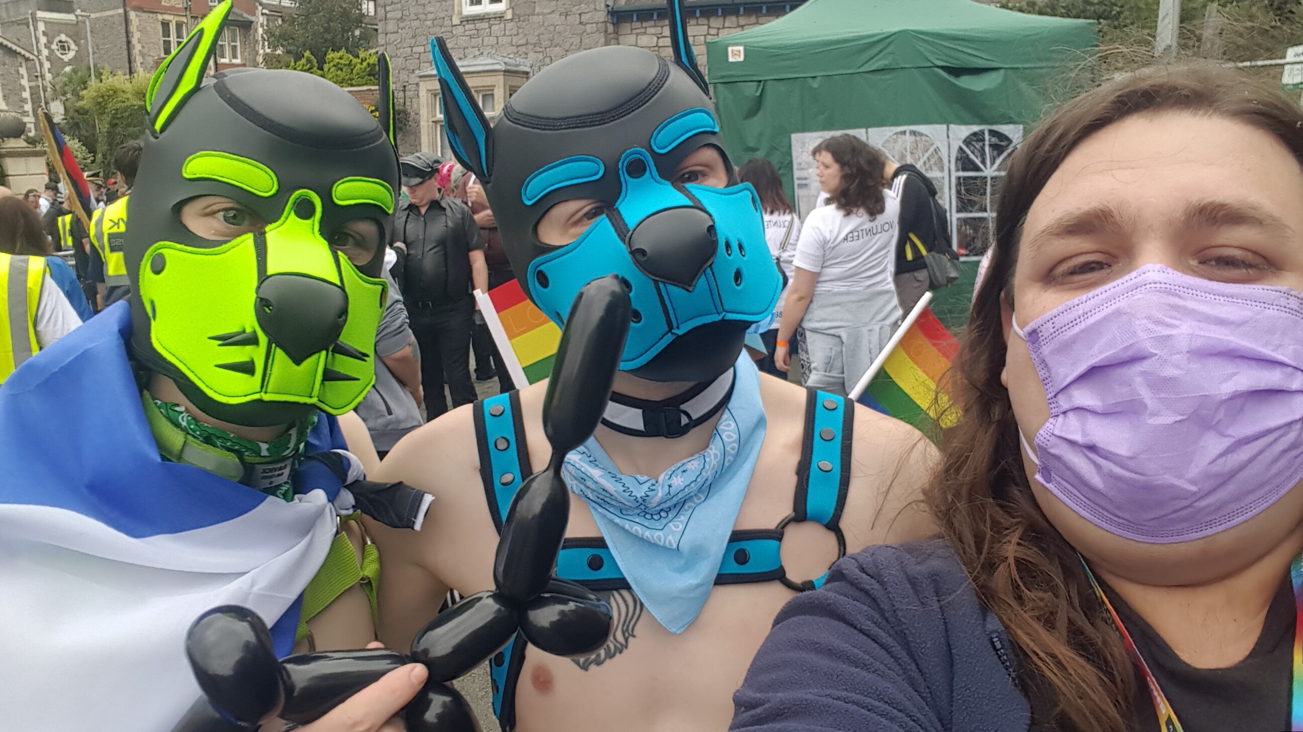 Caught up with the puppy boys
