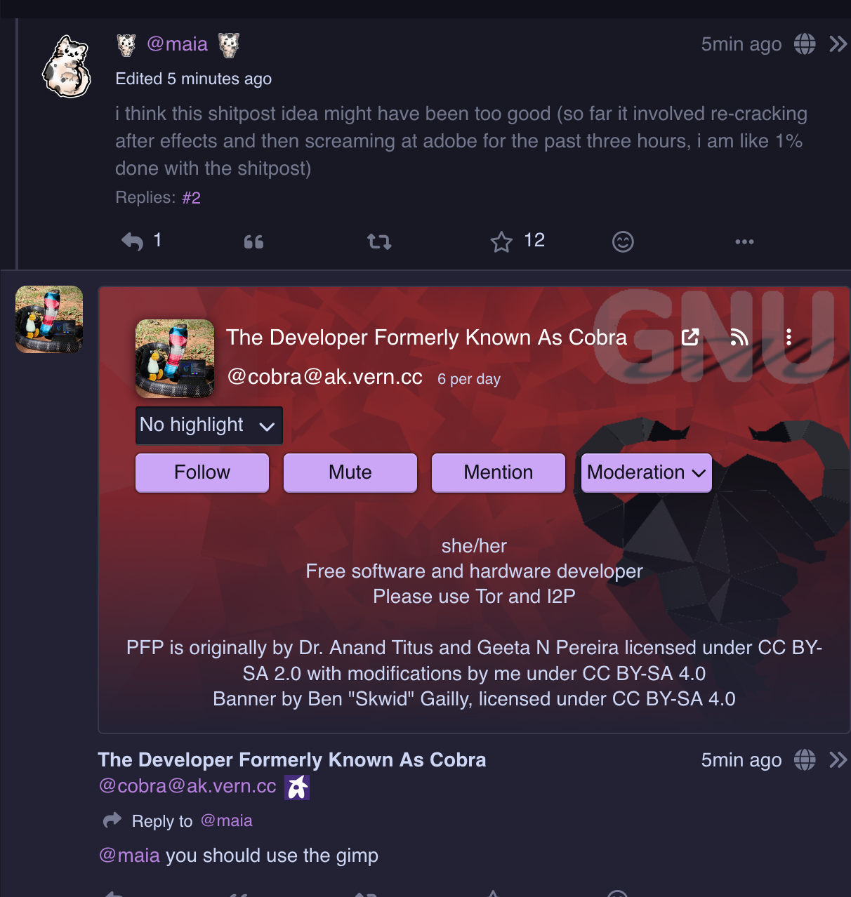 foss person telling me to use gimp as an alternative to after effects