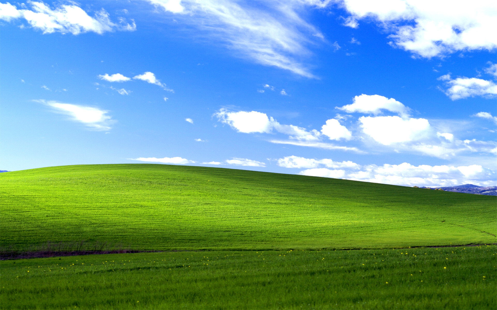 windows XP bliss.jpg default wallpaper (a green hill with a blue sky with a few clouds)