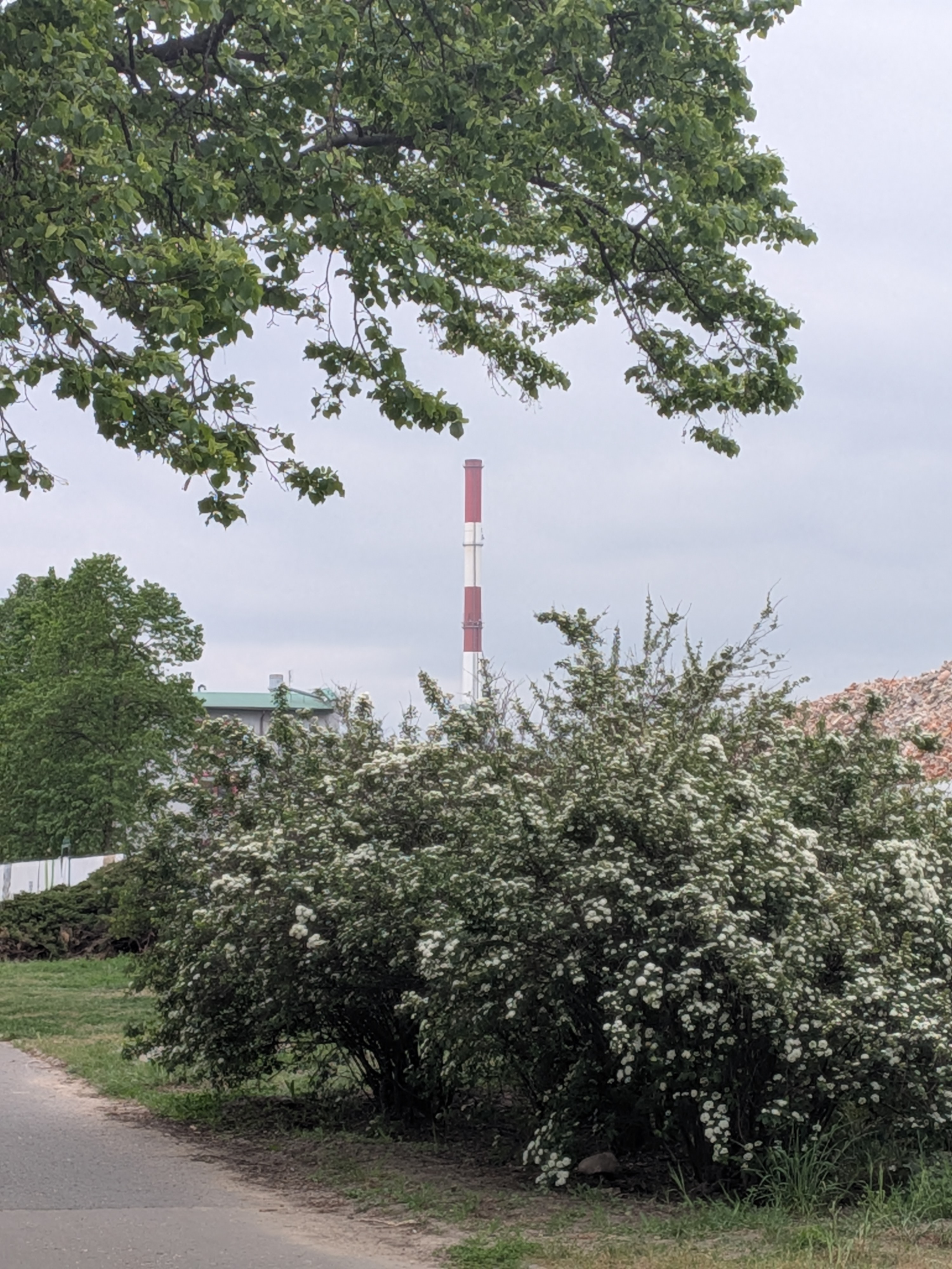 white-red smokestack of Elektrociepłownia Żerań view from distance, with some bushes and tree in the foreground