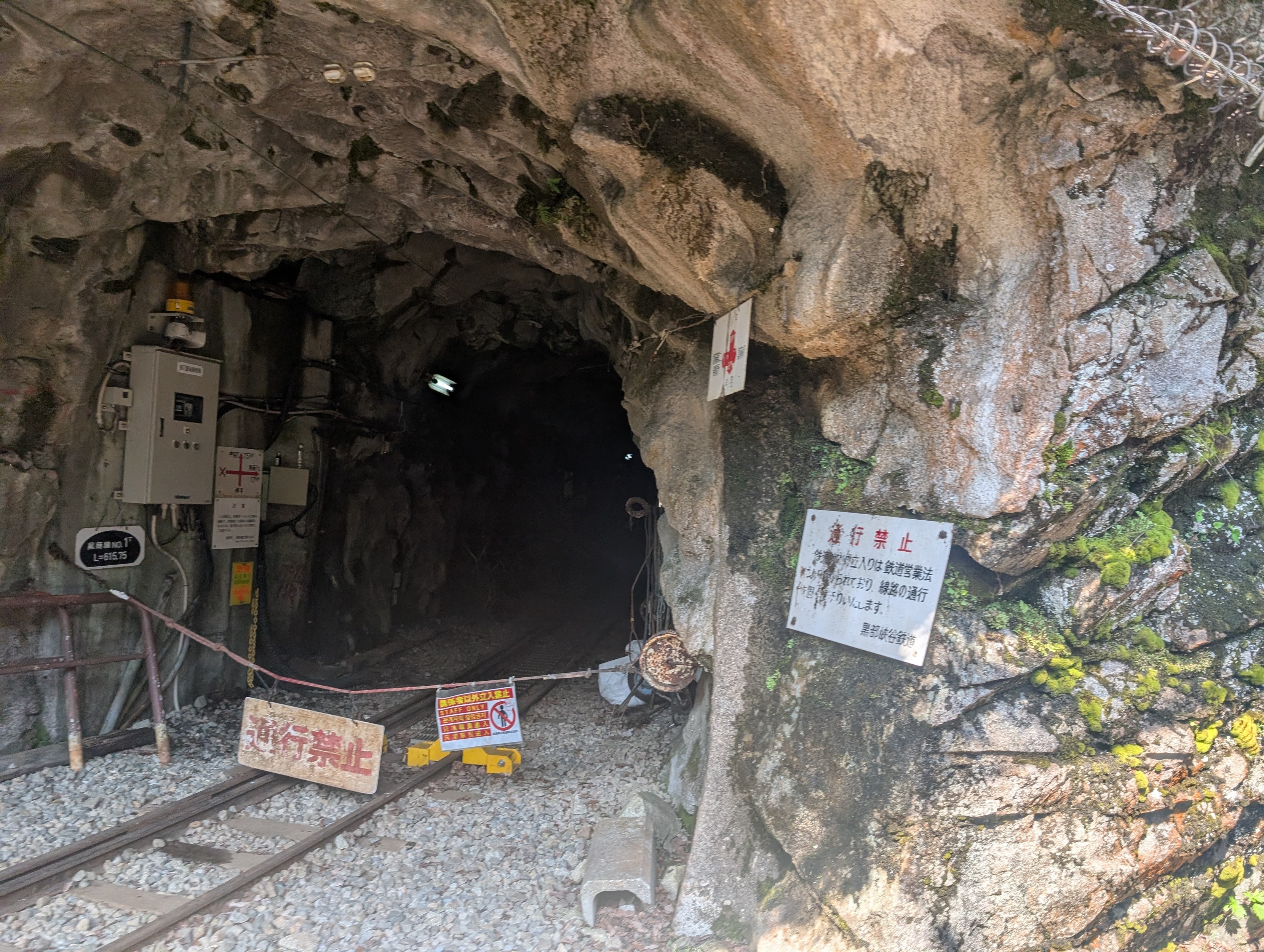 A secret tunnel going into the side of the gorge, many signs (presumably saying you can't go there) and tracks leading into darkness. 