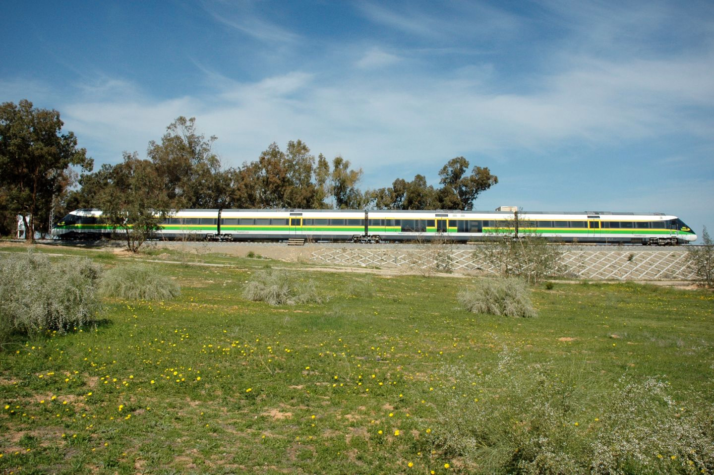 the Libyan IC4 trainset, sitting on a random track with foliage around, painted in a white-yellow-green livery