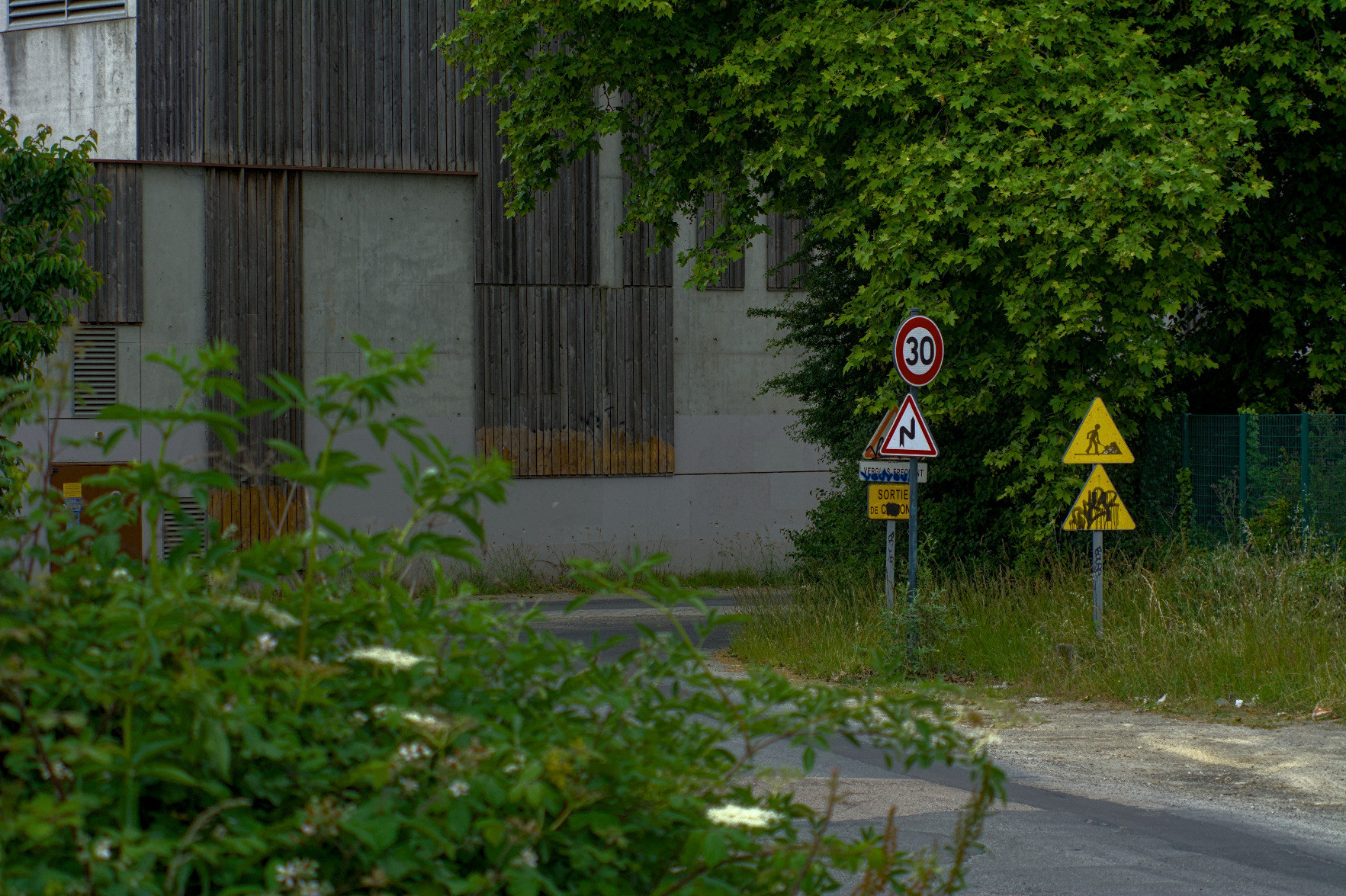 Blurry shrubs overlooking some kind of shoulder on a road, various warning and safety signs tell drivers to be careful when taking this road. Blurry shrubs overlooking some kind of shoulder on a road, various warning and safety signs tell drivers to be careful when taking this road.