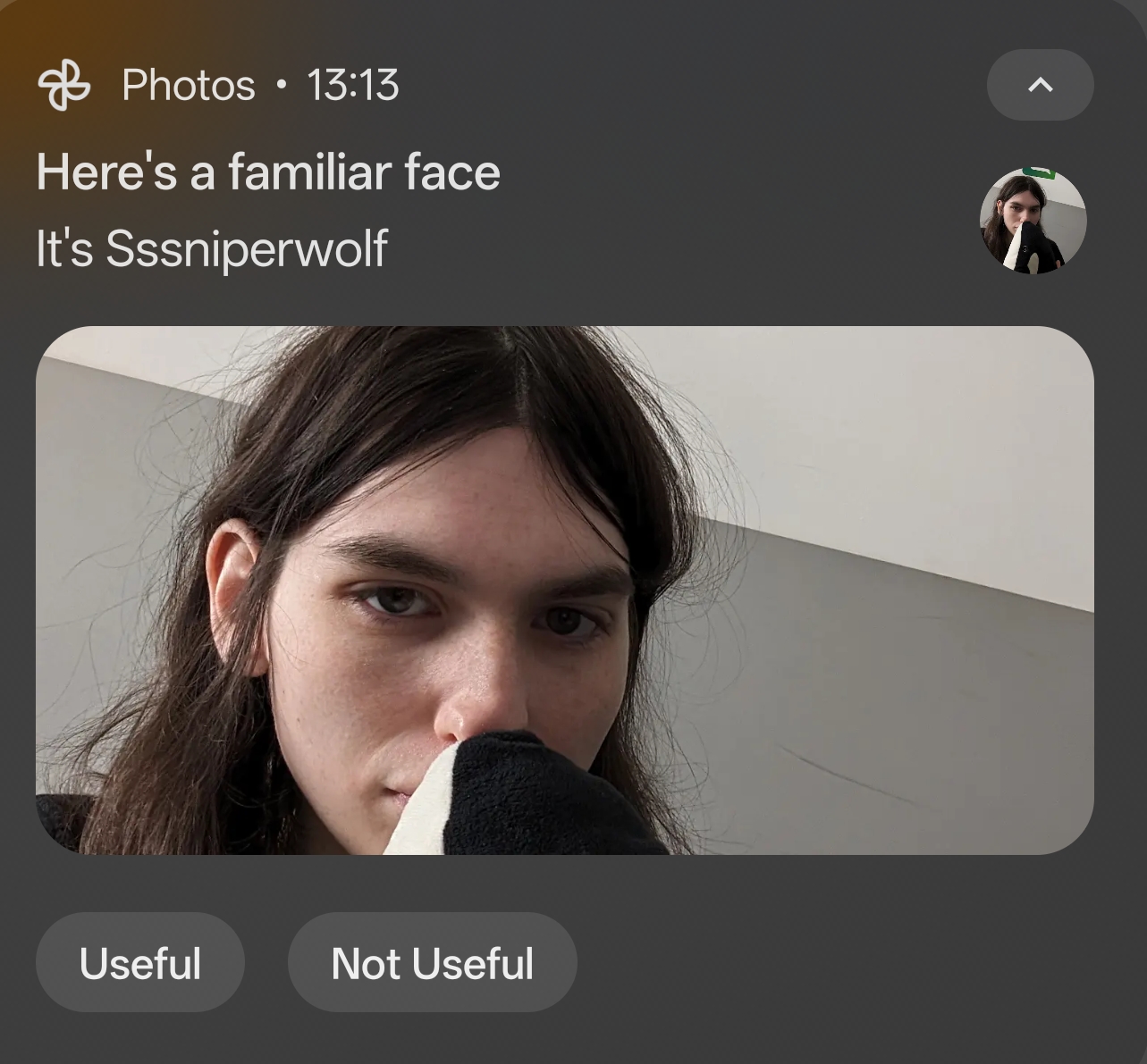 A screenshot of a notification from Google Photos, featuring a photo of me kissing an orca plushie. It is titled with Here's a familiar face
It's Sssniperwolf