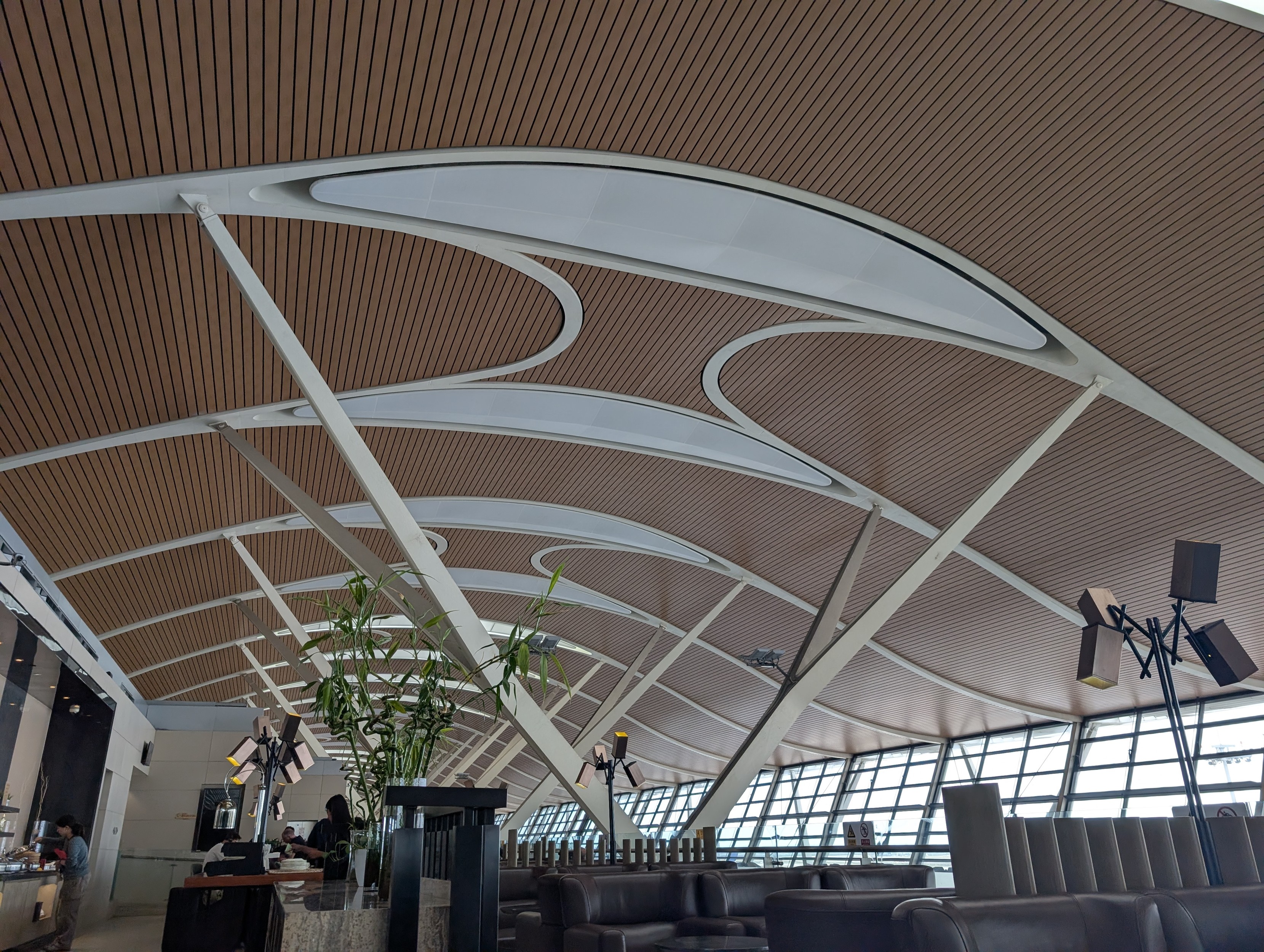 Shanghai airport roof; a single span cantilever (I think?) with steel frame and wood inserts 