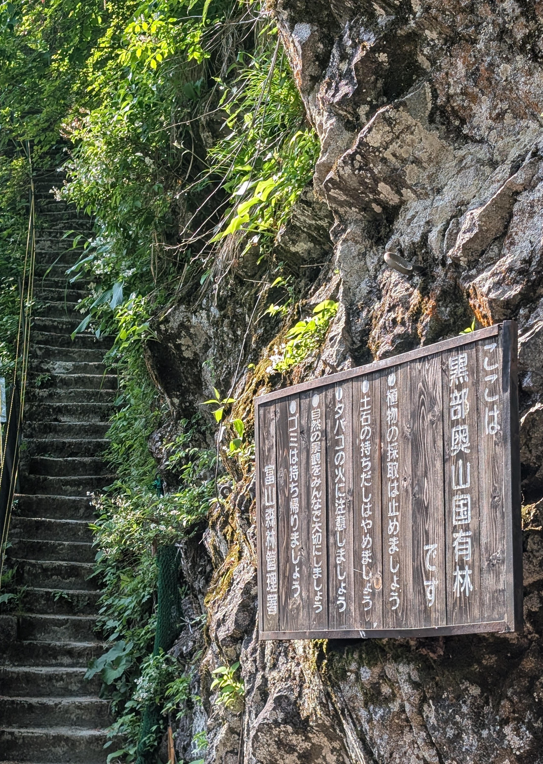 Some steps disappear up into the foliage. There's a large wooden sign in Japanese 