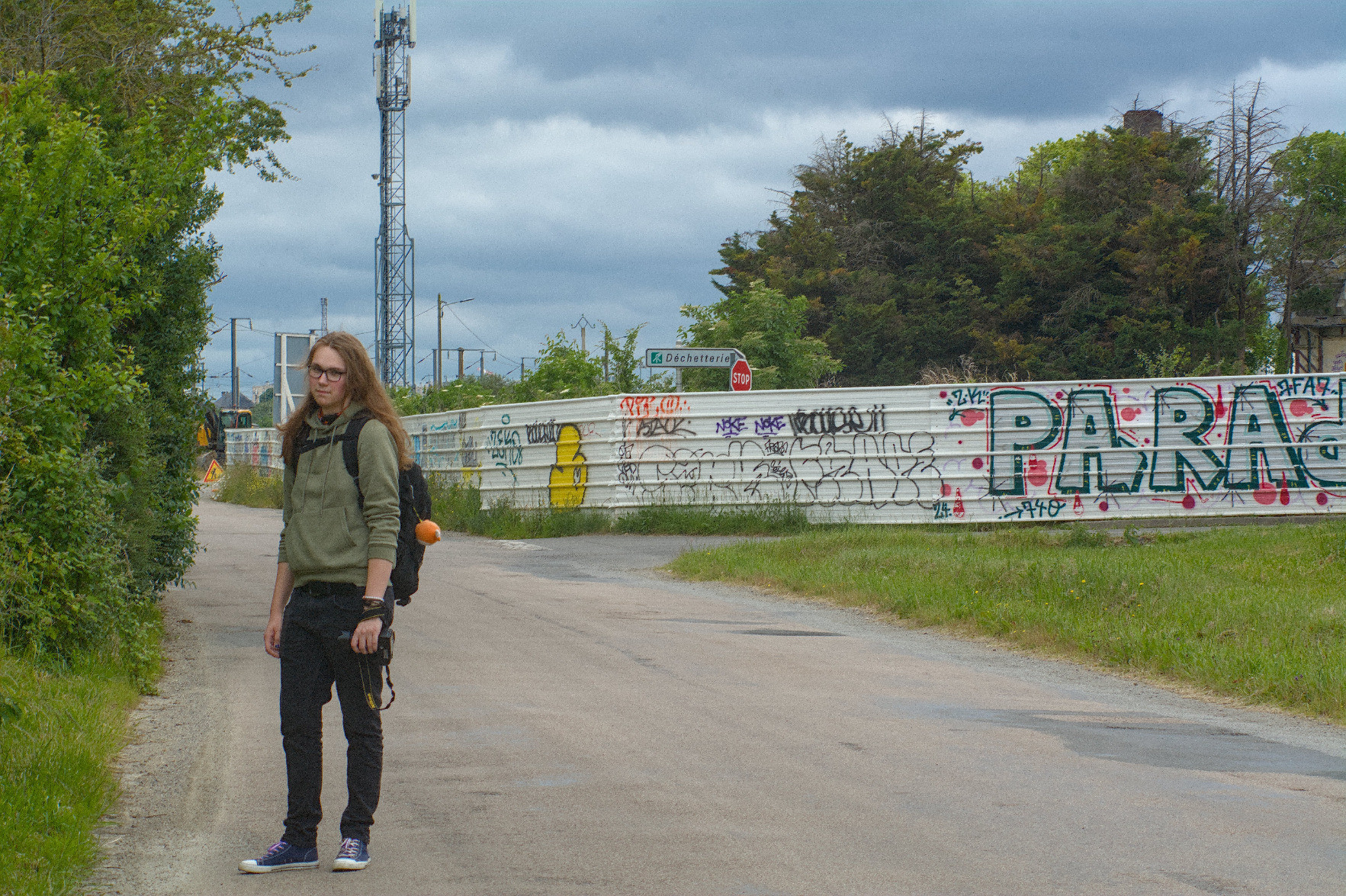 @rail@flufftech.net standing up looking at the photographer, industrial-looking metal fences full of graffiti and shrubs the right-more two thirds of the picture. @rail@flufftech.net standing up looking at the photographer, industrial-looking metal fences full of graffiti and shrubs the right-more two thirds of the picture.