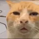 :HUUUH: