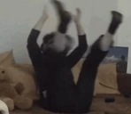 :zirkus: