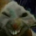 :xdx: