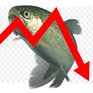 :badfortrout: