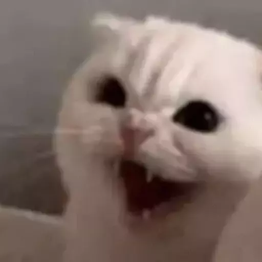 :acat_screamangry@mk.absturztau.be: