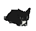 :catvibe@very.tastytea.de:
