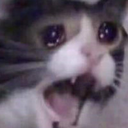 :saddercat@donotsta.re: