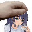 :patsLatte@plasmatrap.com: