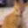 :cat_killsyou@lea.pet:
