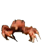 :crabrave@zoner.work: