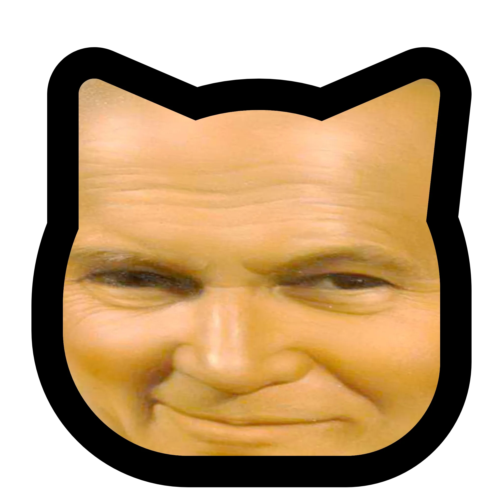 :neocat_papiez@fabrykajabo.li: