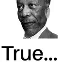 :true@fabrykajabo.li: