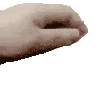 :petthex@himagine.club:
