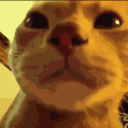 :rainbowneko@himagine.club:
