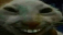 :xdd@akkoma.kruhlovo.xyz: