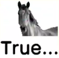 :horseoftrue@north.6-7.city: